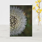 Lüster, Karte (Gelbe Blume)