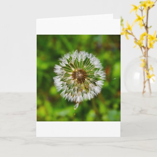 Lüster, Karte (Gelbe Blume)