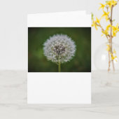 Lüster, Karte (Gelbe Blume)