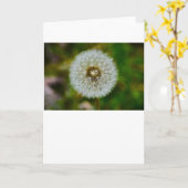 Lüster, Karte (Gelbe Blume)