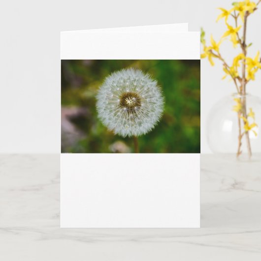 Lüster, Karte (Gelbe Blume)