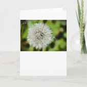 Lüster, Karte (Vorderseite)