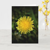 Lüster, Karte (Gelbe Blume)