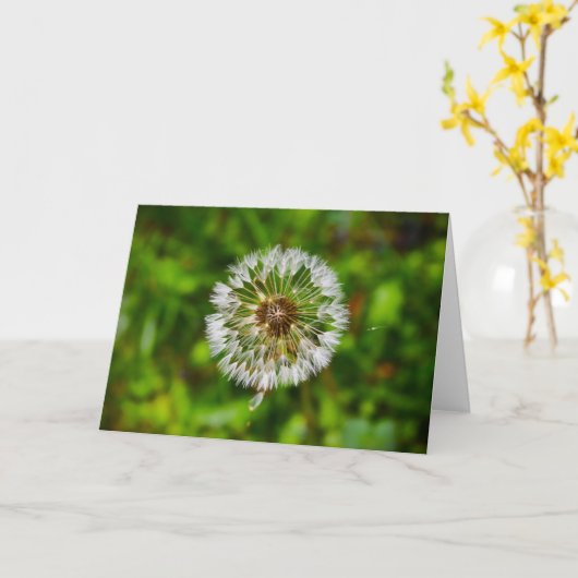 Lüster, Karte (Gelbe Blume)