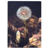 Lüster Klemmbrett (Rückseite)