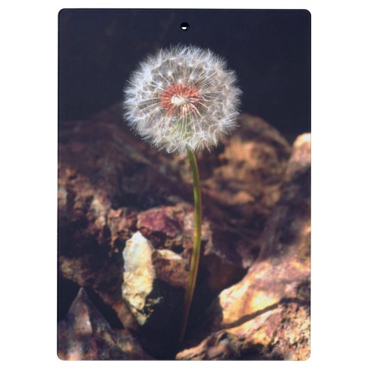 Lüster Klemmbrett (Rückseite)