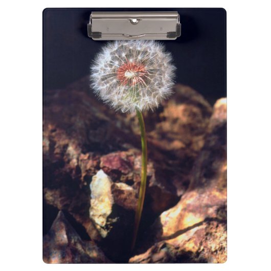 Lüster Klemmbrett (Vorderseite)