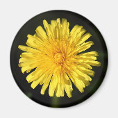 Lüster Magnet (Vorne)