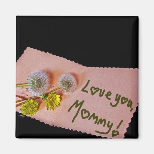 Lüster Magnet (Vorne)