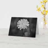 Lüster/Noir, Karte (Gelbe Blume)