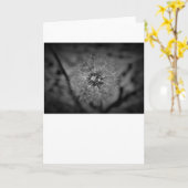 Lüster - Noir, Karte (Gelbe Blume)