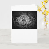 Lüster/Noir, Karte (Gelbe Blume)