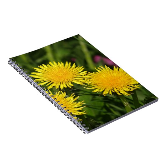 Lüster Notizblock (Rechte Seite)