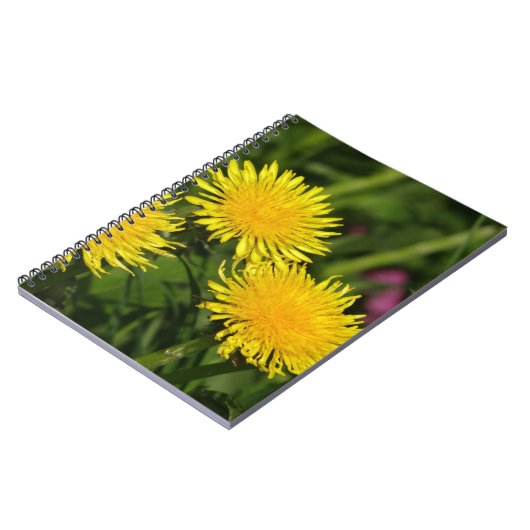 Lüster Notizblock (Linke Seite)