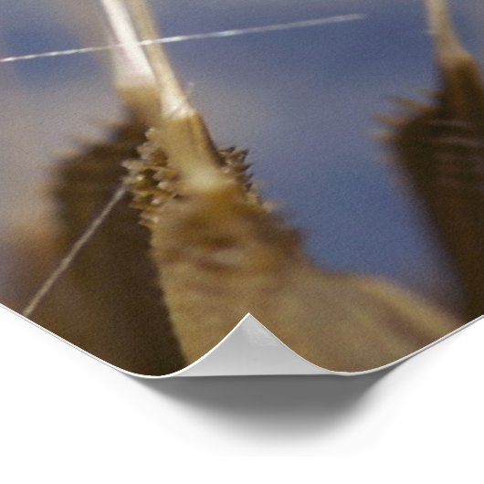 Lüster Poster (Ecke)