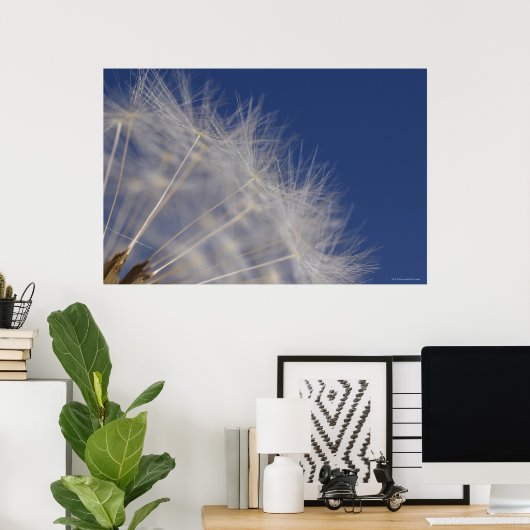 Lüster Poster (Heimbüro)