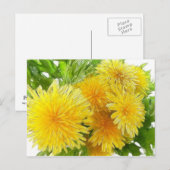 Lüster! Postkarte (Vorne/Hinten)