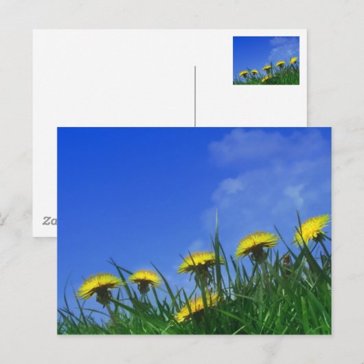 Lüster Postkarte (Vorne/Hinten)