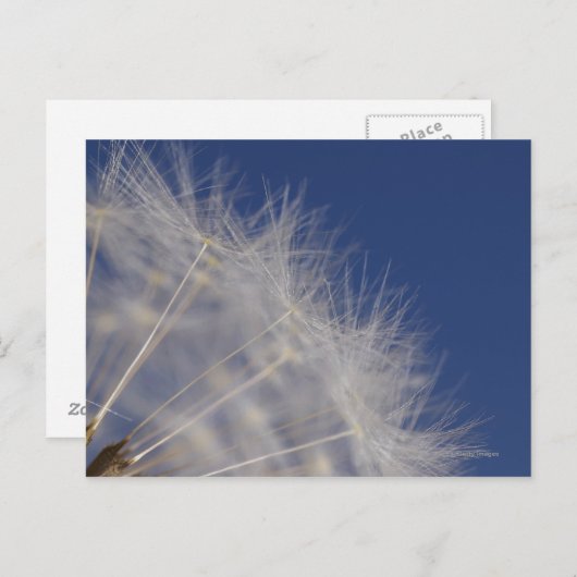 Lüster Postkarte (Vorne/Hinten)