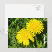 Lüster Postkarte (Vorne/Hinten)
