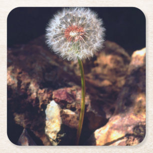 Lüster Rechteckiger Pappuntersetzer