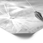 Lüster Samen mit Wasserfall Fotografie Wand Kunst (Ecke)