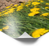 Lüster umgeben Cesis Burg im Zentrum Fotodruck (Ecke)