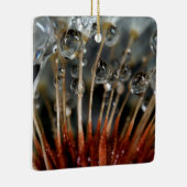 Lüster und Wassertropfen, CA Keramikornament (Rechts)
