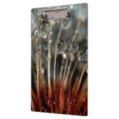 Lüster und Wassertropfen, CA Klemmbrett (Links)