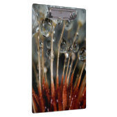 Lüster und Wassertropfen, CA Klemmbrett (Rechts)