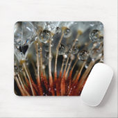 Lüster und Wassertropfen, CA Mousepad (Mit Mouse)