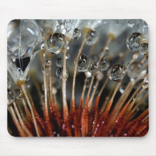 Lüster und Wassertropfen, CA Mousepad (Vorne)