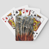 Lüster und Wassertropfen, CA Spielkarten (Rückseite)