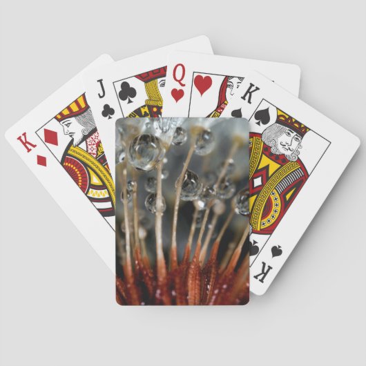 Lüster und Wassertropfen, CA Spielkarten (Rückseite)