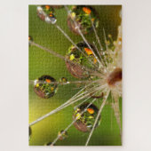 Lüster und Wassertropfen Puzzle (Vertikal)