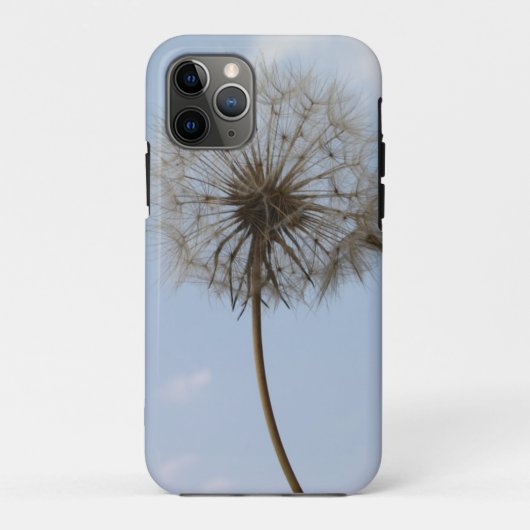 Lüster unter dem Frühlingshimmel Case-Mate iPhone Hülle (Rückseite)