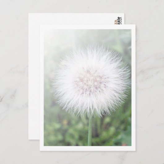 Lüsterhandling Postkarte (Vorne/Hinten)