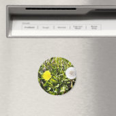 Lüstern auf der Wiese Magnet (In Situ (Geschirrspüler))