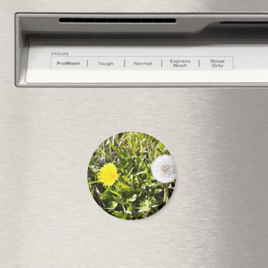 Lüstern auf der Wiese Magnet (In Situ (Geschirrspüler))