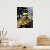 Lüsterne im Sonnenschein Poster (Küche)