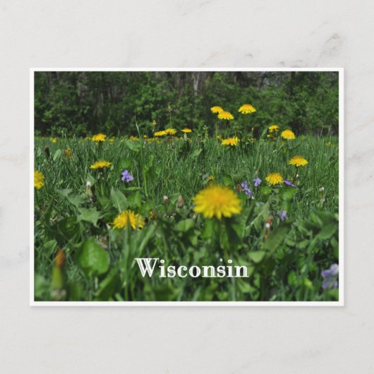 Lüsterne Postkarte (Vorderseite)