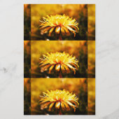 Lüsterngelbe Blume Frühlingsfrüchte (Vorderseite)