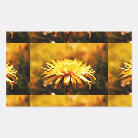 Lüsterngelbe Blume Frühlingsfrüchte Rechteckiger Aufkleber (Vorderseite)