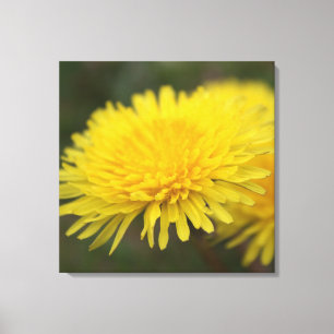 Lüstertraum. Hübsche Gelbwild-Blume Leinwanddruck