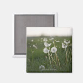 Lüsterungen wehen im Wind. Magnet (Vorderseite/Rückseite)
