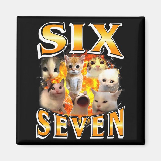 Lustig 67 Meme Six Seven Katzen Meme Lustig Bootle Magnet (Vorne)