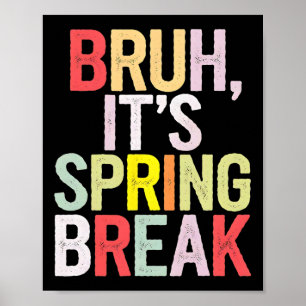 Lustig Bruh Es Ist Spring Break Vintage Frühjahrsf Poster