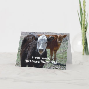 Lustig danke - Kuh-TierSpaß - Ranch