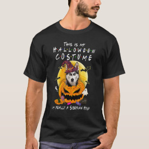 Lustig Das Ist Mein Halloween-Kostüm Ich Bin Wirkl T-Shirt