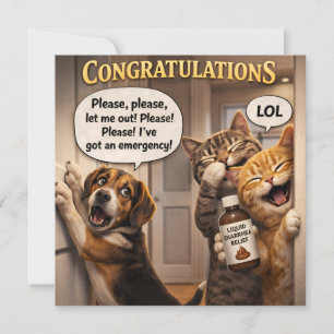 Lustig der Streich Hund und Katze Gratulation lese Karte